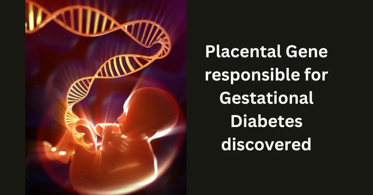 Placental Gene responsible for Gestational Diabetes discovered