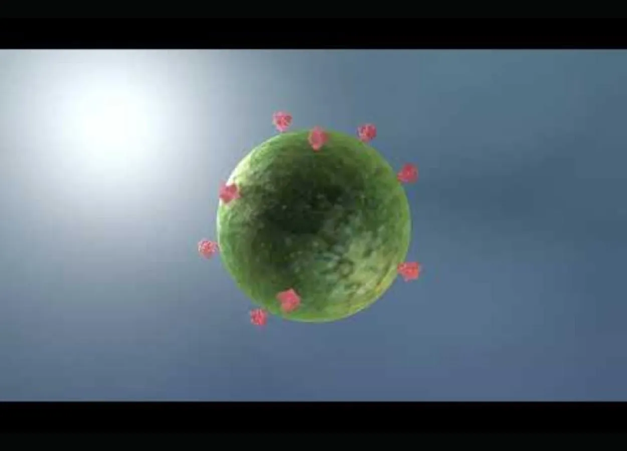 A Trial HIV Vaccine Triggered Elusive and Essential Antibodies in Humans