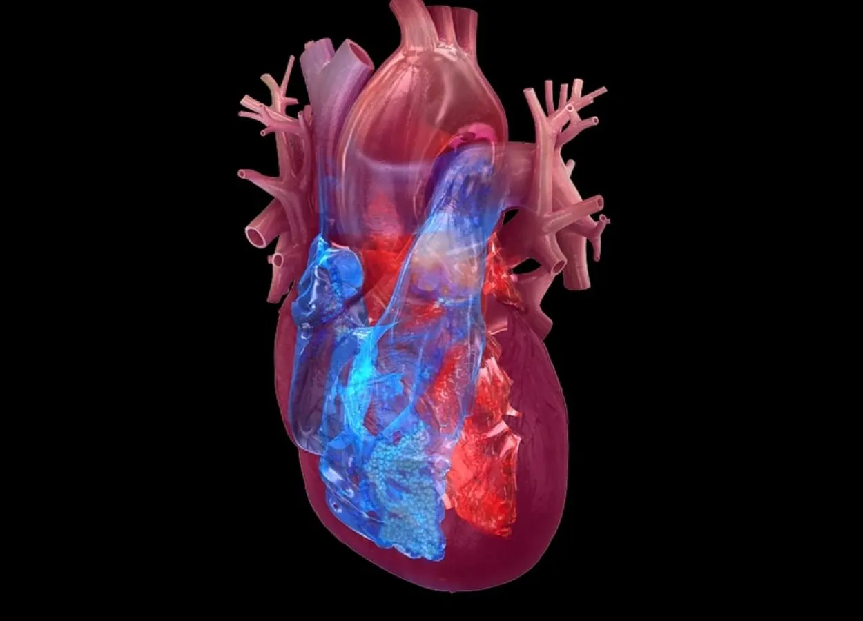 Heart healthy behaviors may help reverse rapid cell aging