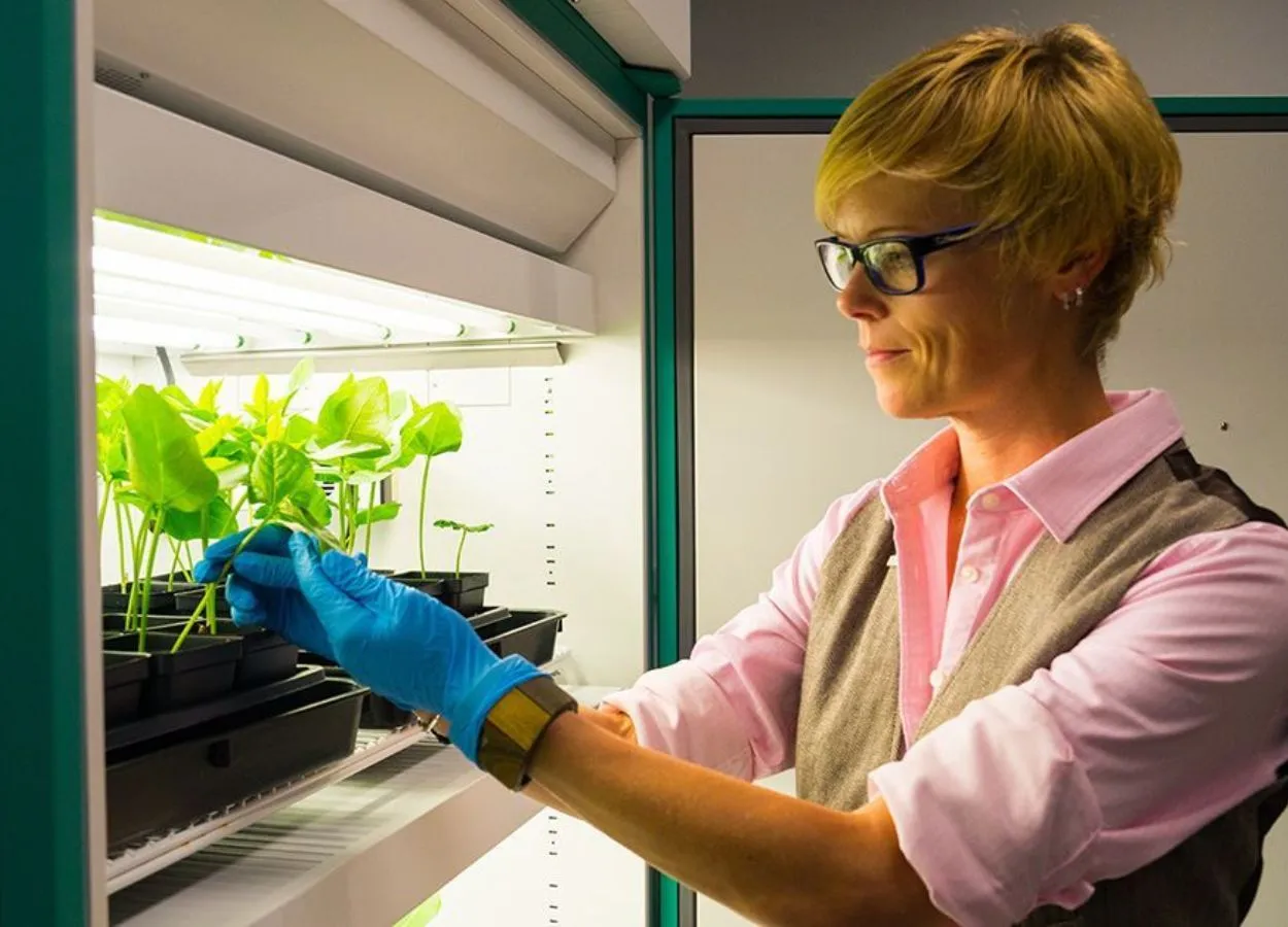 Plant Virus Treatment Shows Promise in Fighting Metastatic Cancers in Mice