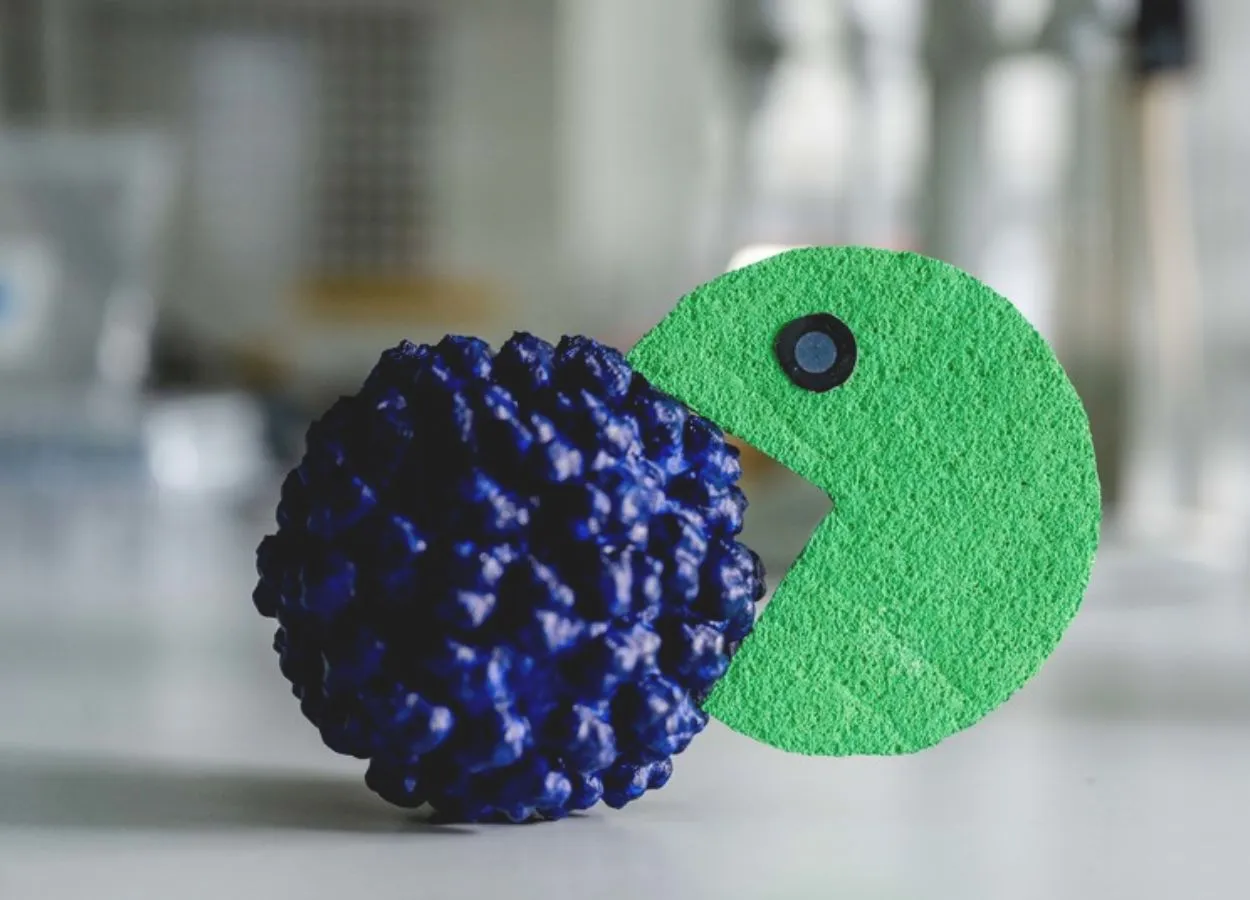 Study Paves the Way for an Active Agent Against Hepatitis E