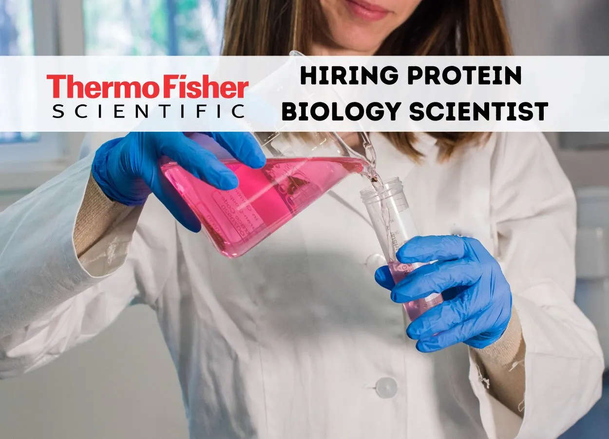 Thermo Fisher Scientific looking for Protein Biology Scientist