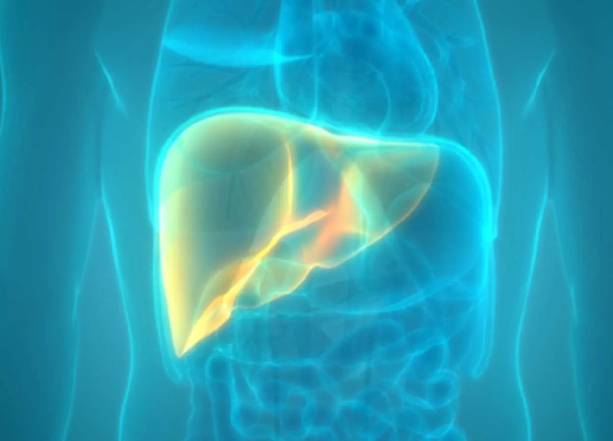 New Approach Accurately Identifies Medications Most Toxic to the Liver
