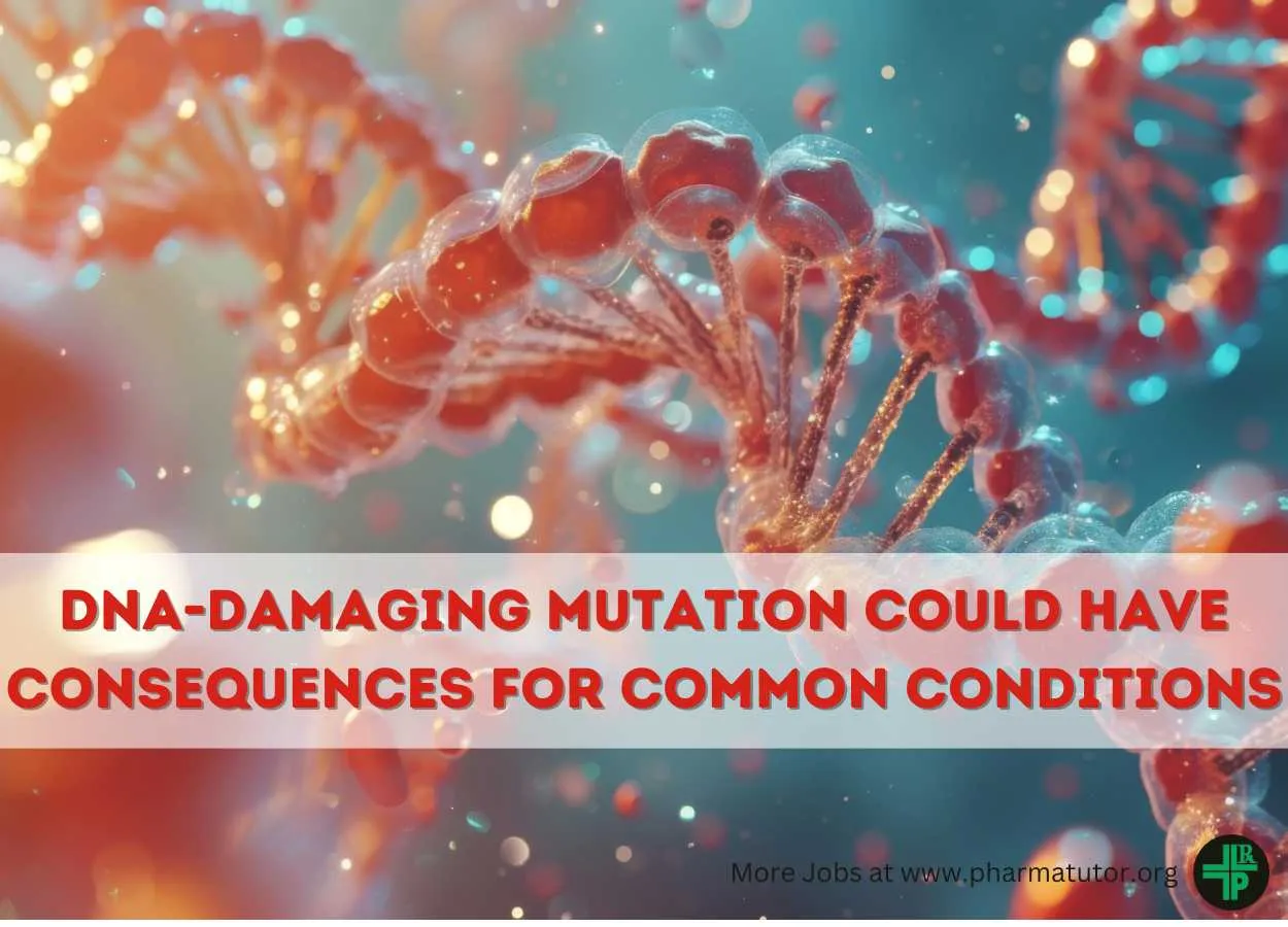 Rare Disease DNA-Damaging Mutation could have consequences for more common conditions