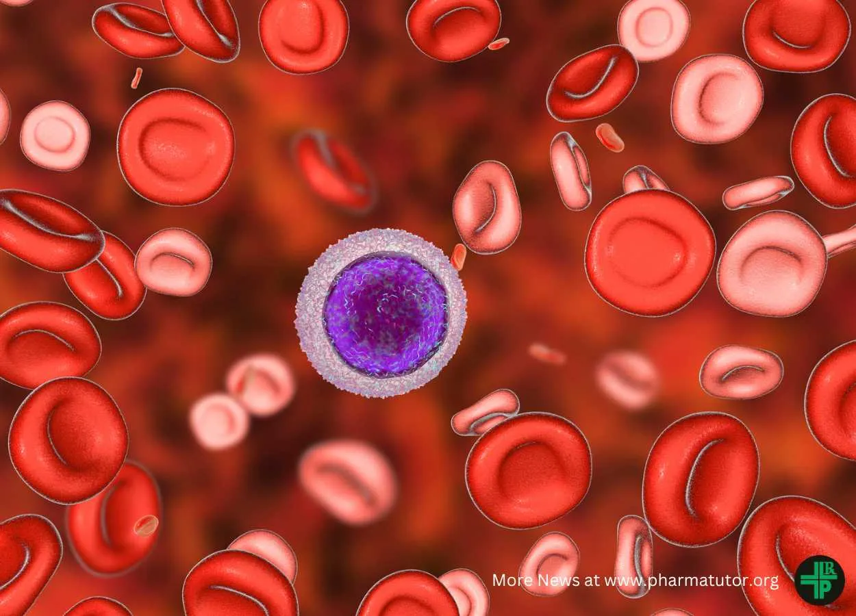 Fighting leukaemia by targeting its stem cells