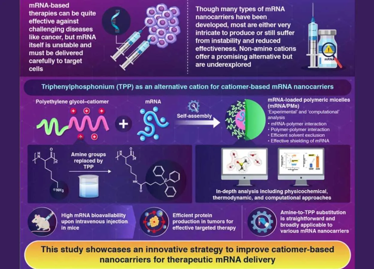 Improving the Design of mRNA-loaded Nanocarriers for Targeted Therapies