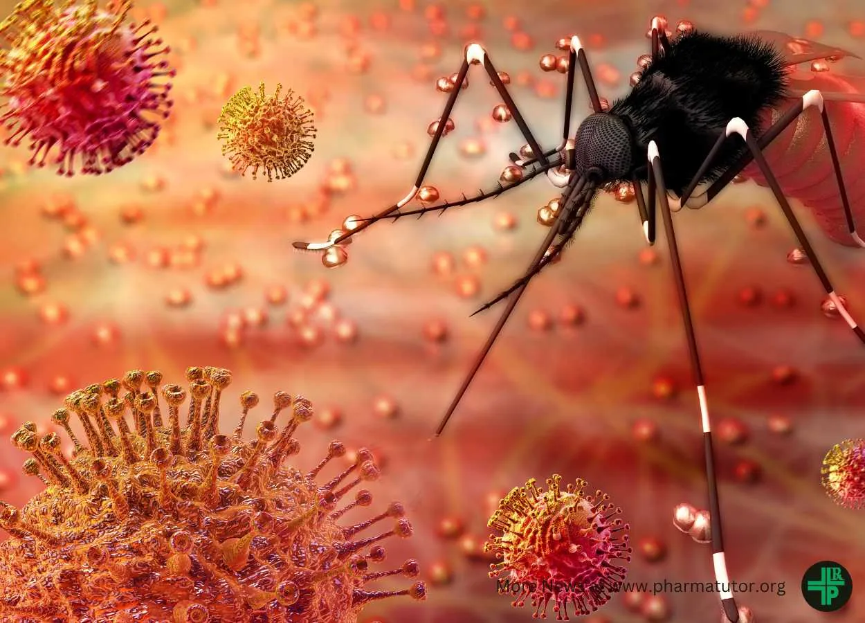 A declining trend of the daily reported new cases of Chandipura virus