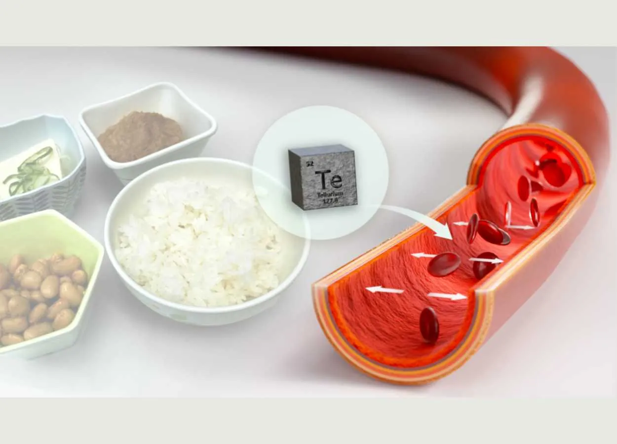 High blood pressure associated with environmental contamination by tellurium