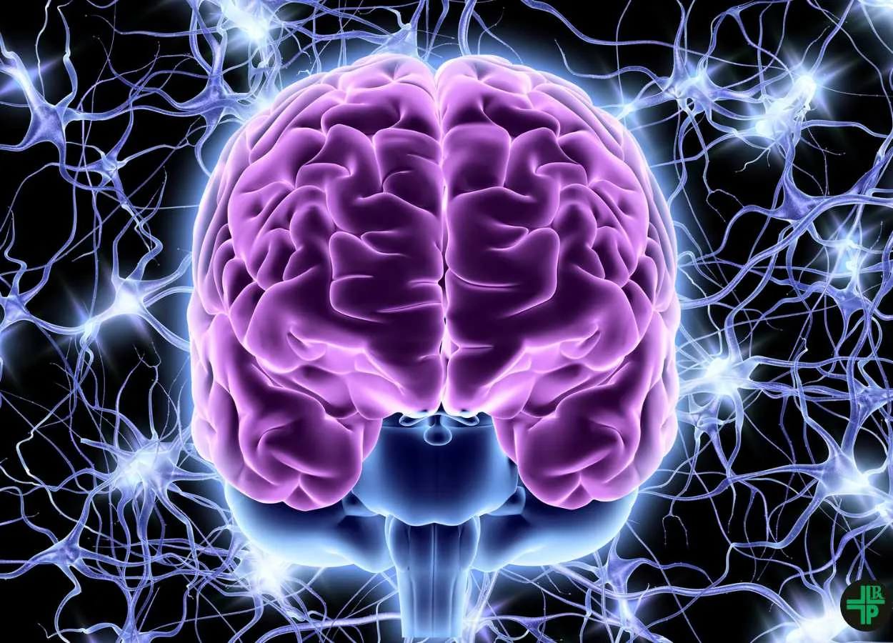 Sleep resets neurons for new memories the next day