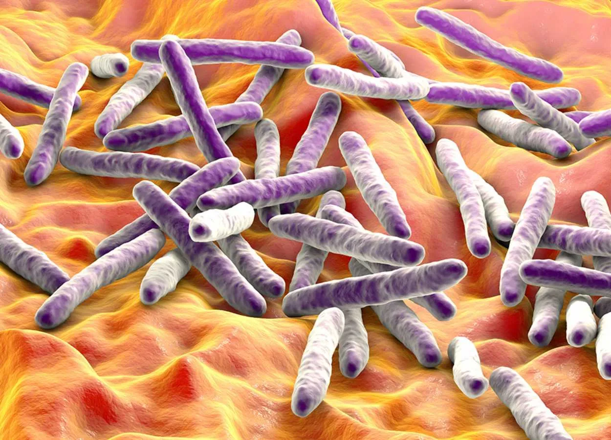 New findings on TB could change how we treat inflammatory disorders