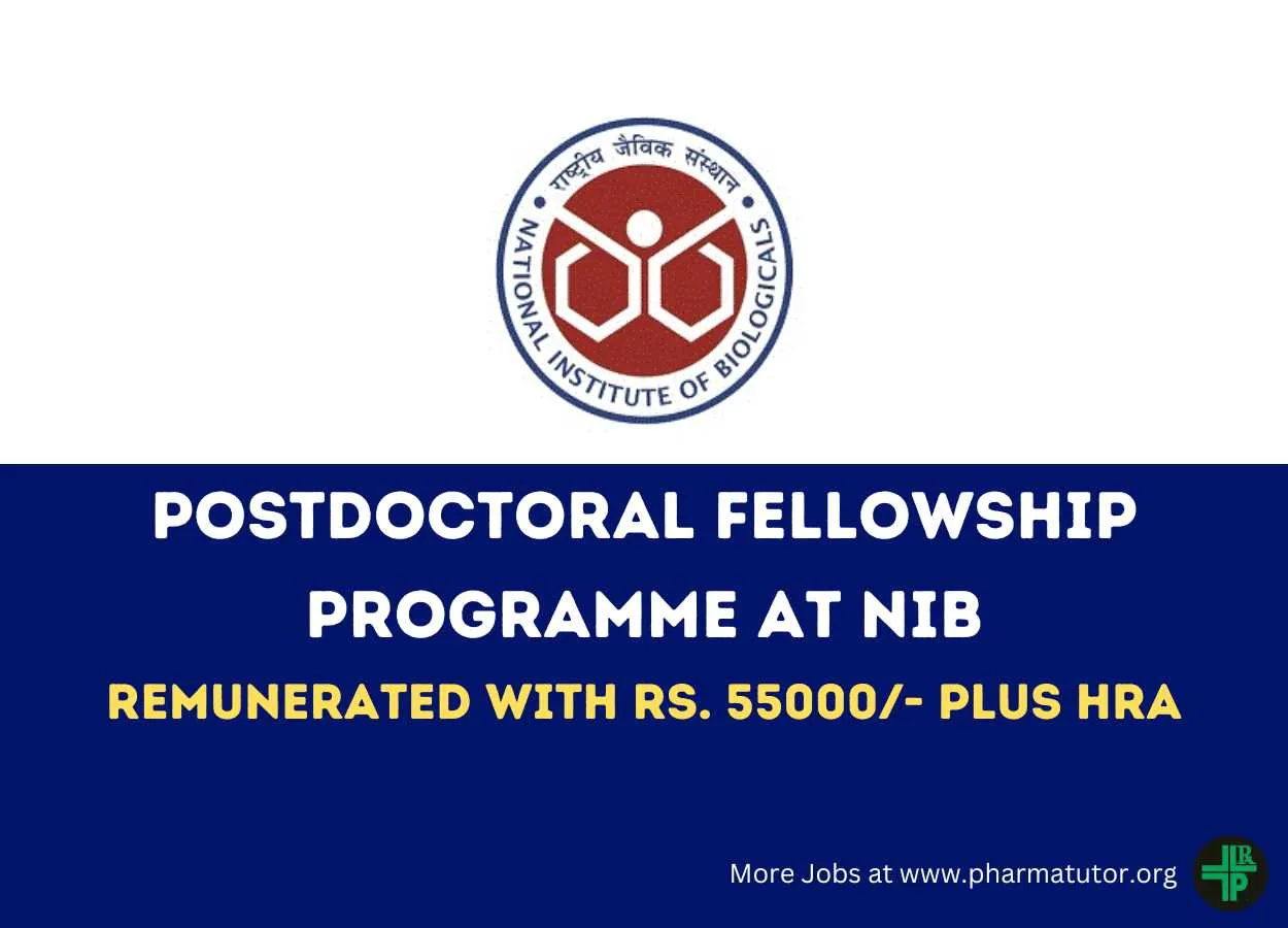 Postdoctoral Fellowship Programme at NIB