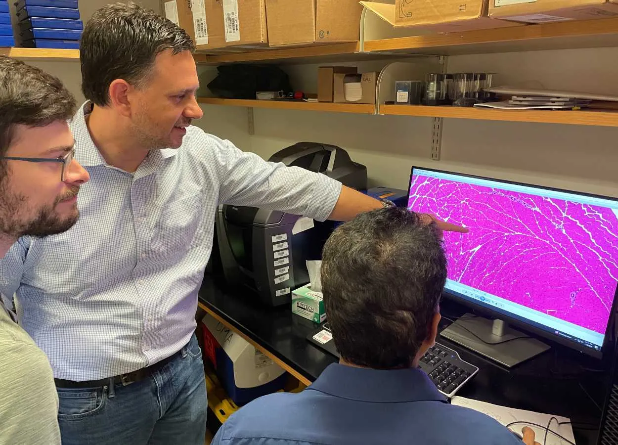 New Discovery Enables Gene Therapy for Muscular Dystrophies, Other Disorders