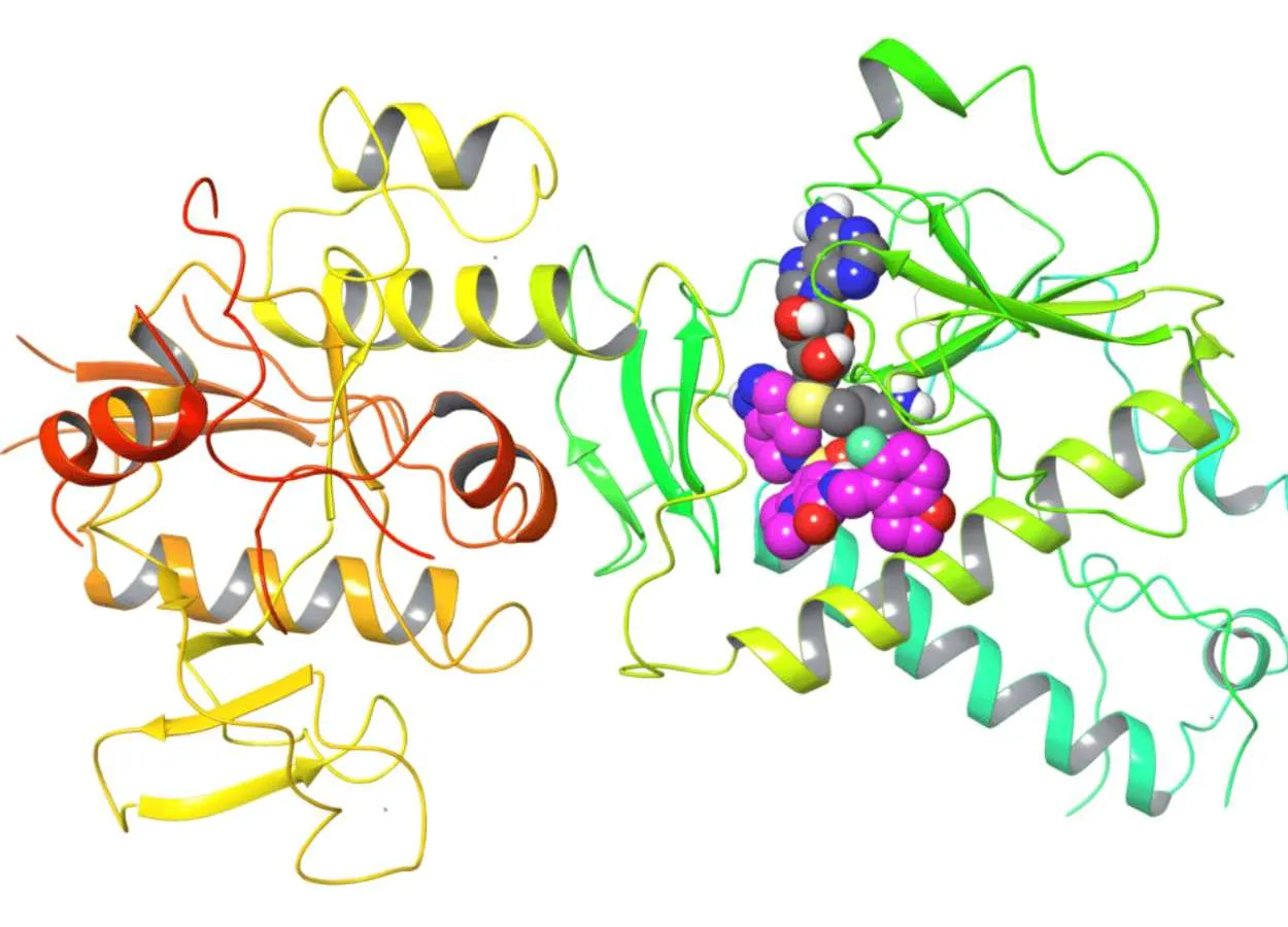 A new class of antivirals could help prevent future pandemics