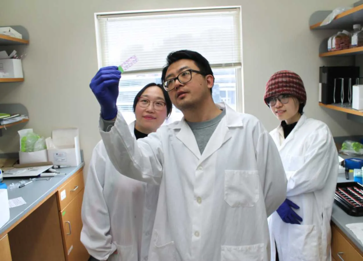 UW researchers find previously unknown links between microbial bile acids and the risk of colon cancer