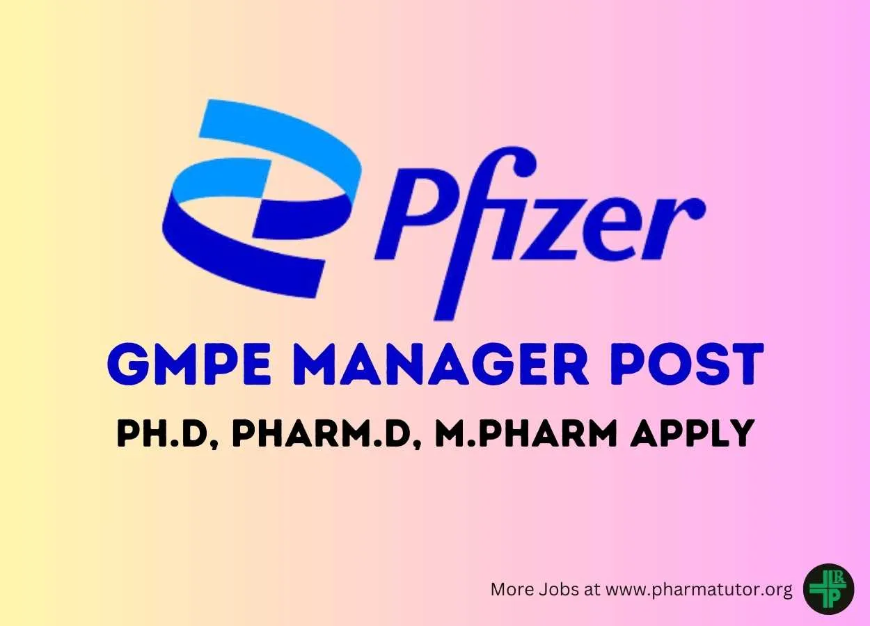 Work as GMPE Manager at Pfizer