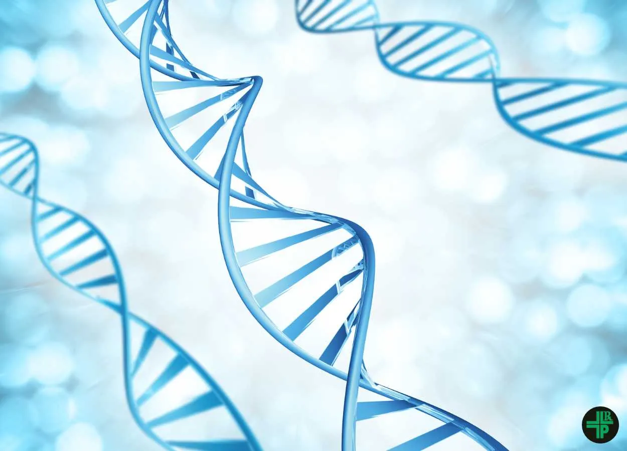 A major advance in biology combines DNA and RNA and could revolutionise cancer treatments