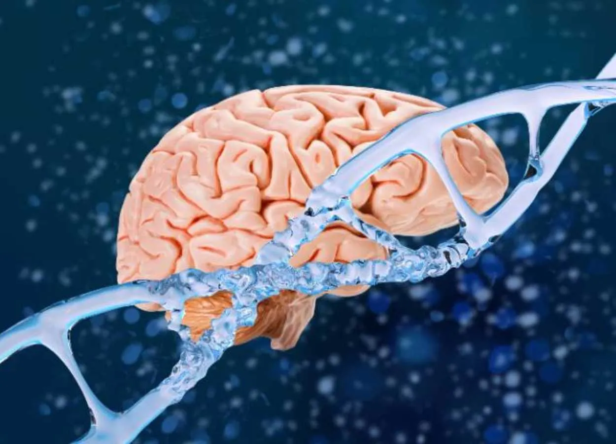 Brain changes in Huntington’s disease decades before diagnosis will guide future prevention trials