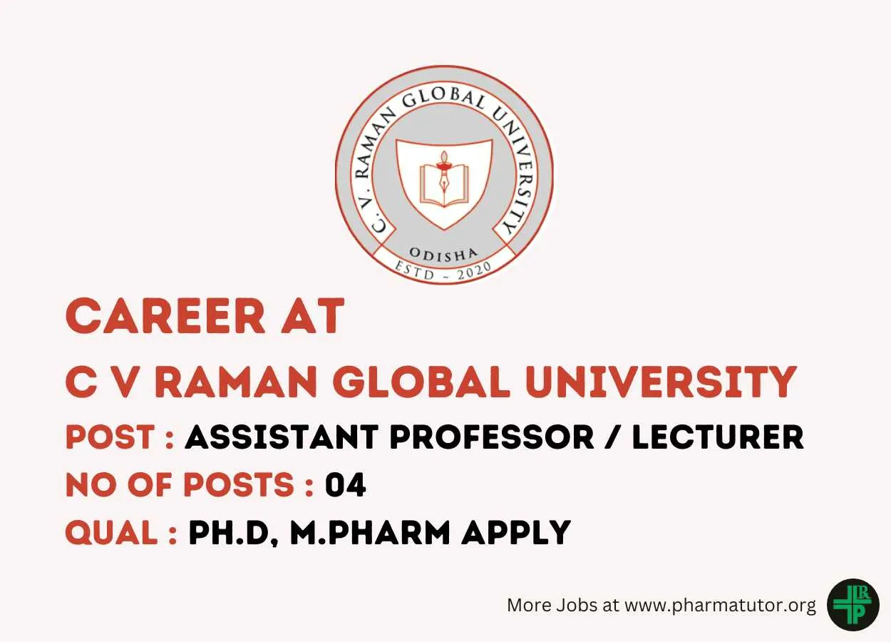 Job for Assistant Professor / Lecturer at C V Raman Global University