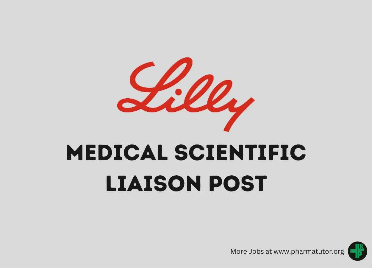 Work as Medical Scientific Liaison at Lilly