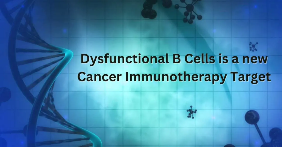 Dysfunctional B Cells is a new Cancer Immunotherapy Target