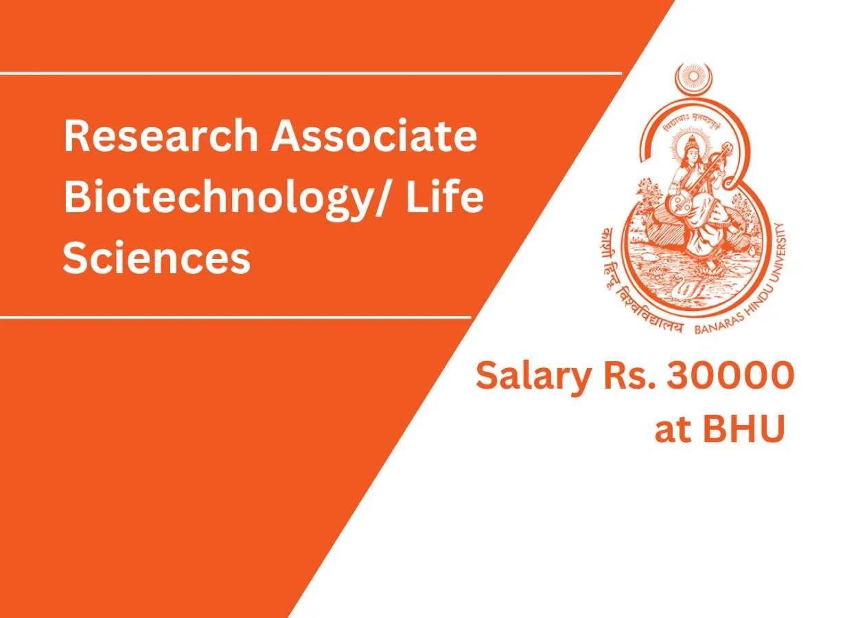 Job as Research Fellow at BHU - Masters in Biochemistry/ Biotechnology/ Botany/ Life Sciences/Microbiology