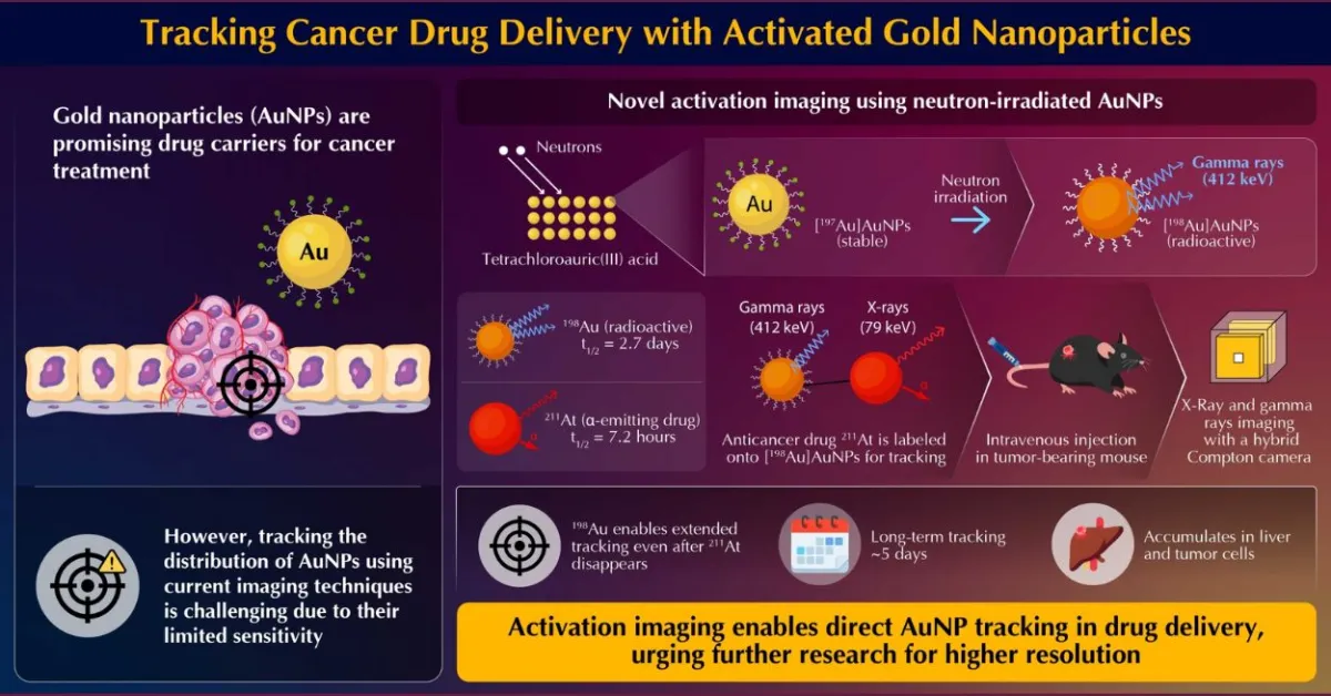 Lighting the Way : How Activated Gold Reveals Drug Movement in the Body