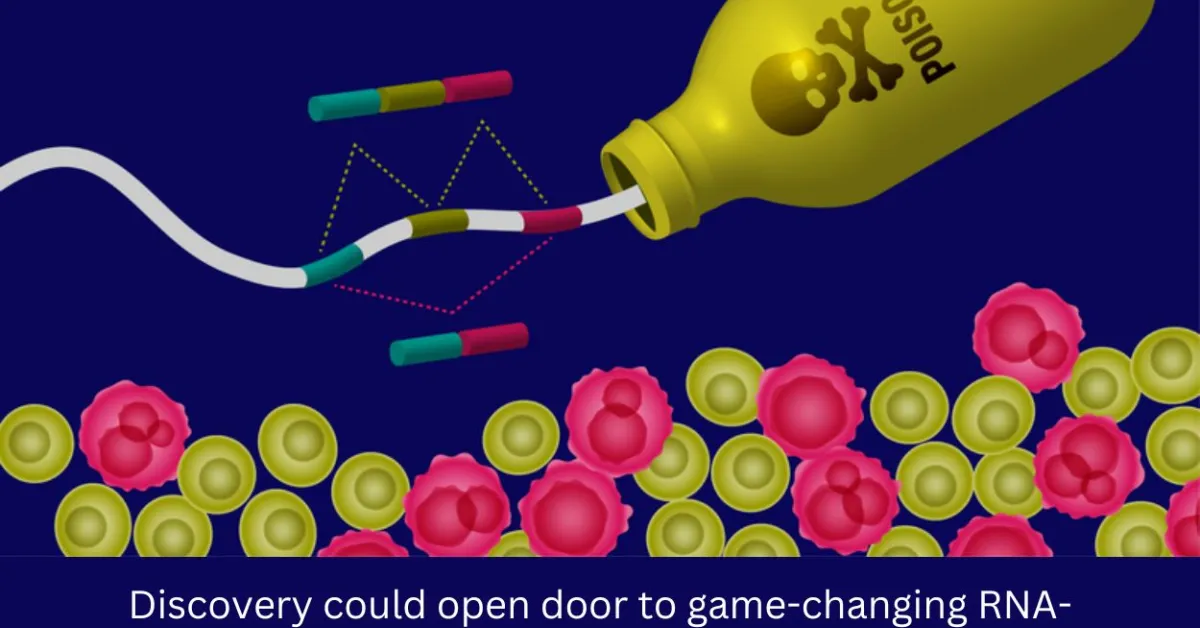 Scientists discover how to reactivate cancer’s molecular kill switch