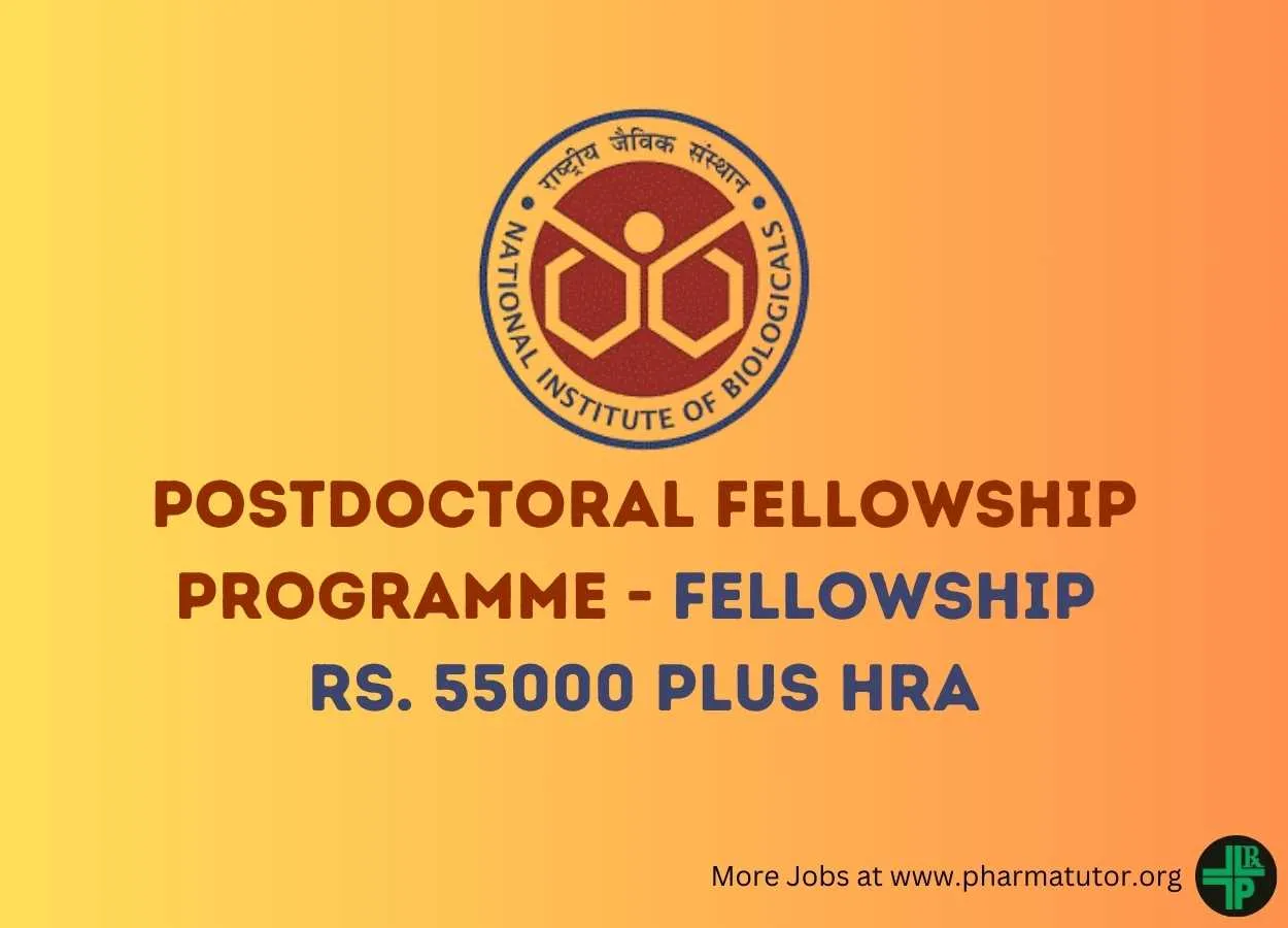Postdoctoral Fellowship Programme at NIB