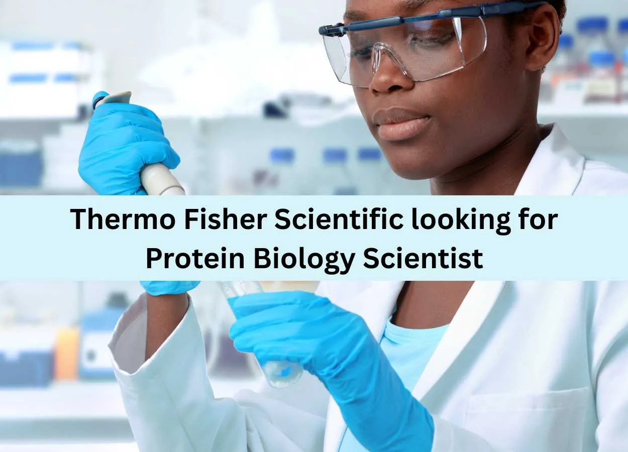 Thermo Fisher Scientific looking for Protein Biology Scientist