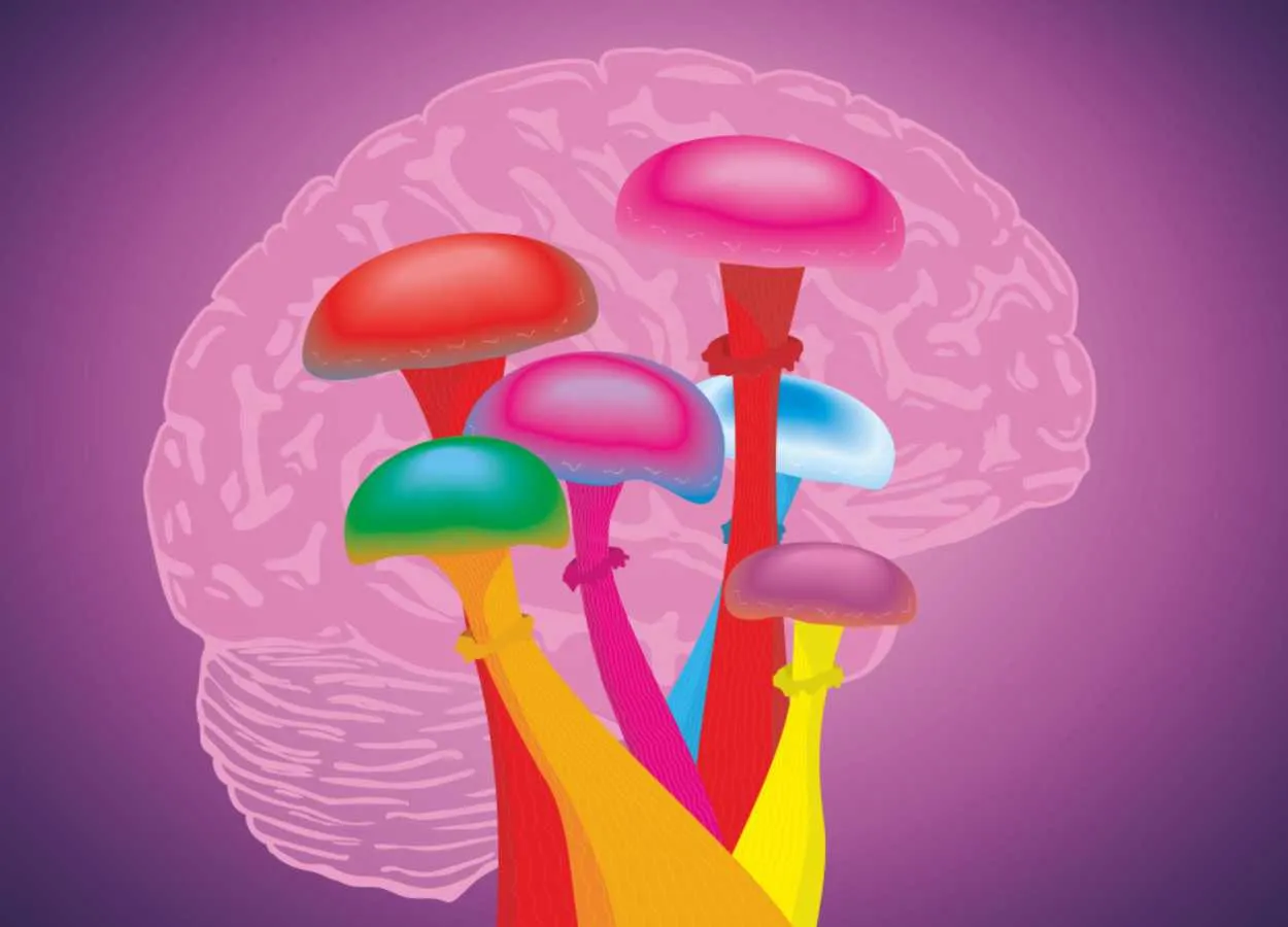 Clinical research on psychedelics gets a boost from new study