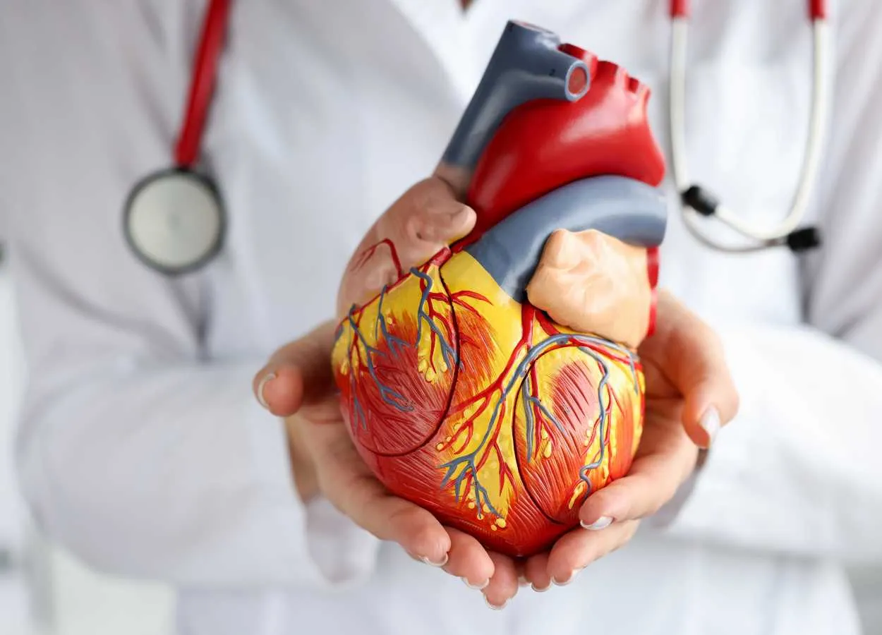 SGLT2 Inhibitors linked to reduced risk of Atrial Fibrillation in type 2 Diabetes