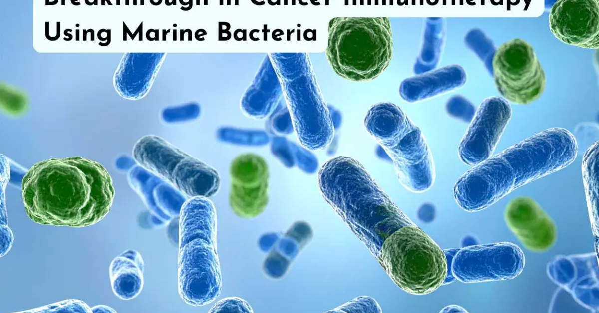 Breakthrough in Cancer Immunotherapy Using Marine Bacteria