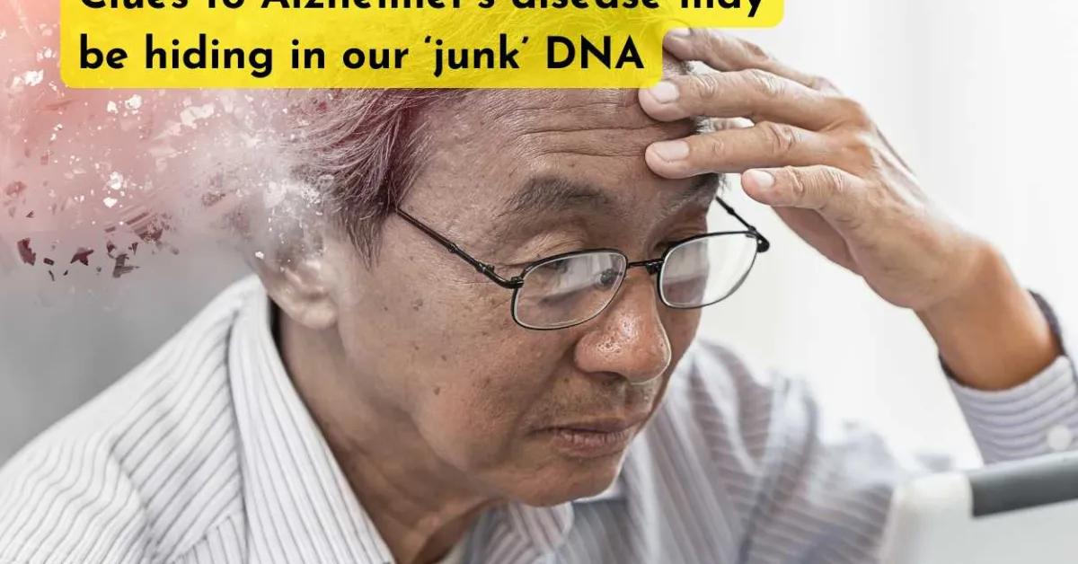 Clues to Alzheimer’s disease may be hiding in our ‘junk’ DNA