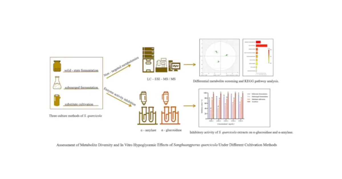 Breakthrough study finds traditional Medicinal Fungus shows strong antidiabetic potential