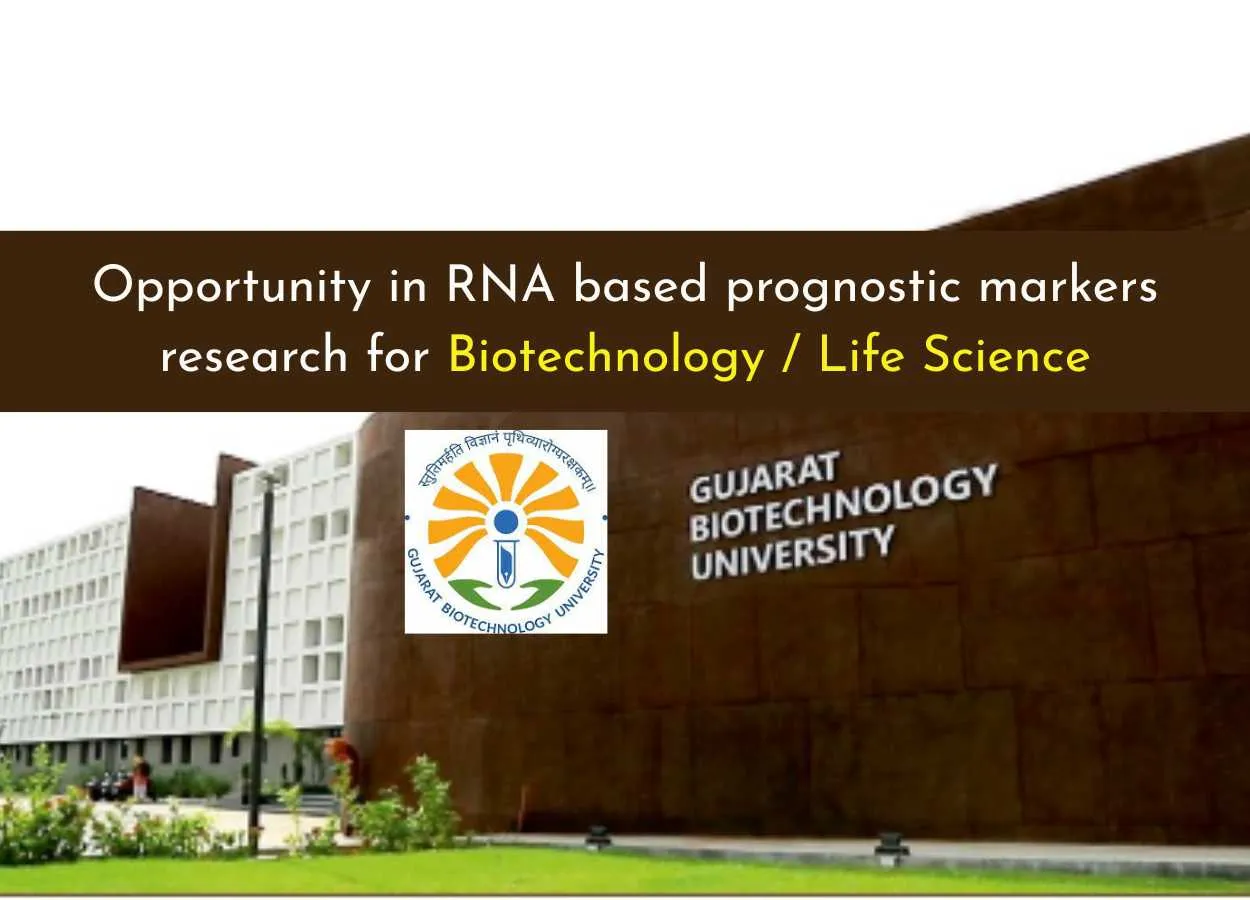 Research Opportunity in RNA-Based Prognostic Markers at GBU for Life Sciences and Biotechnology