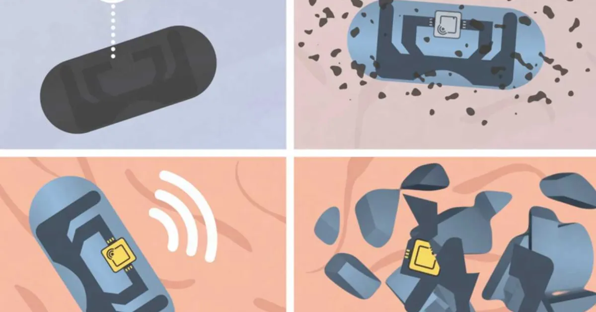 When Pills Talk Back: Inside MIT’s Swallowable Technology That Could Transform Medication Adherence