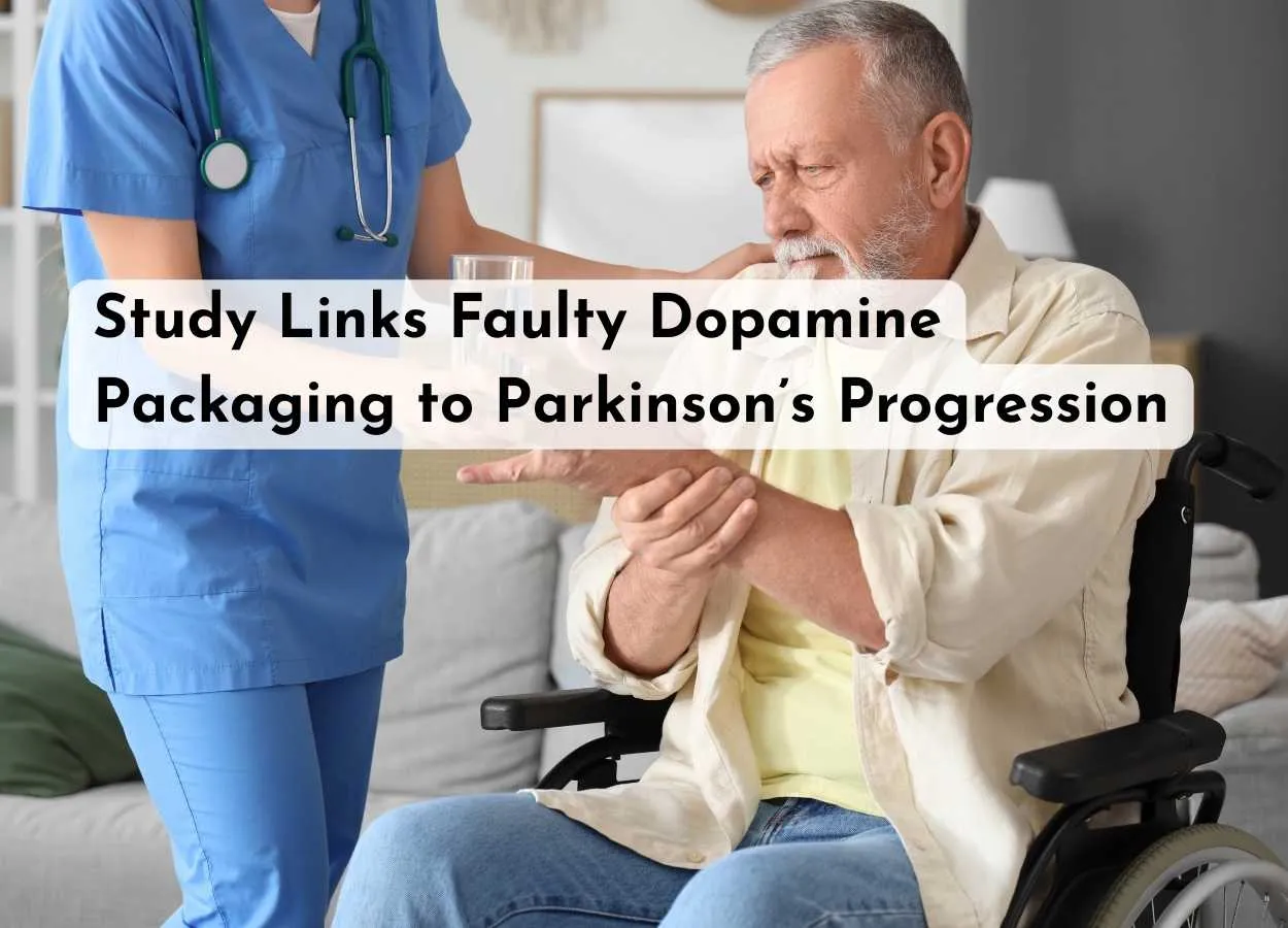 Study Links Faulty Dopamine Packaging to Parkinson’s Progression