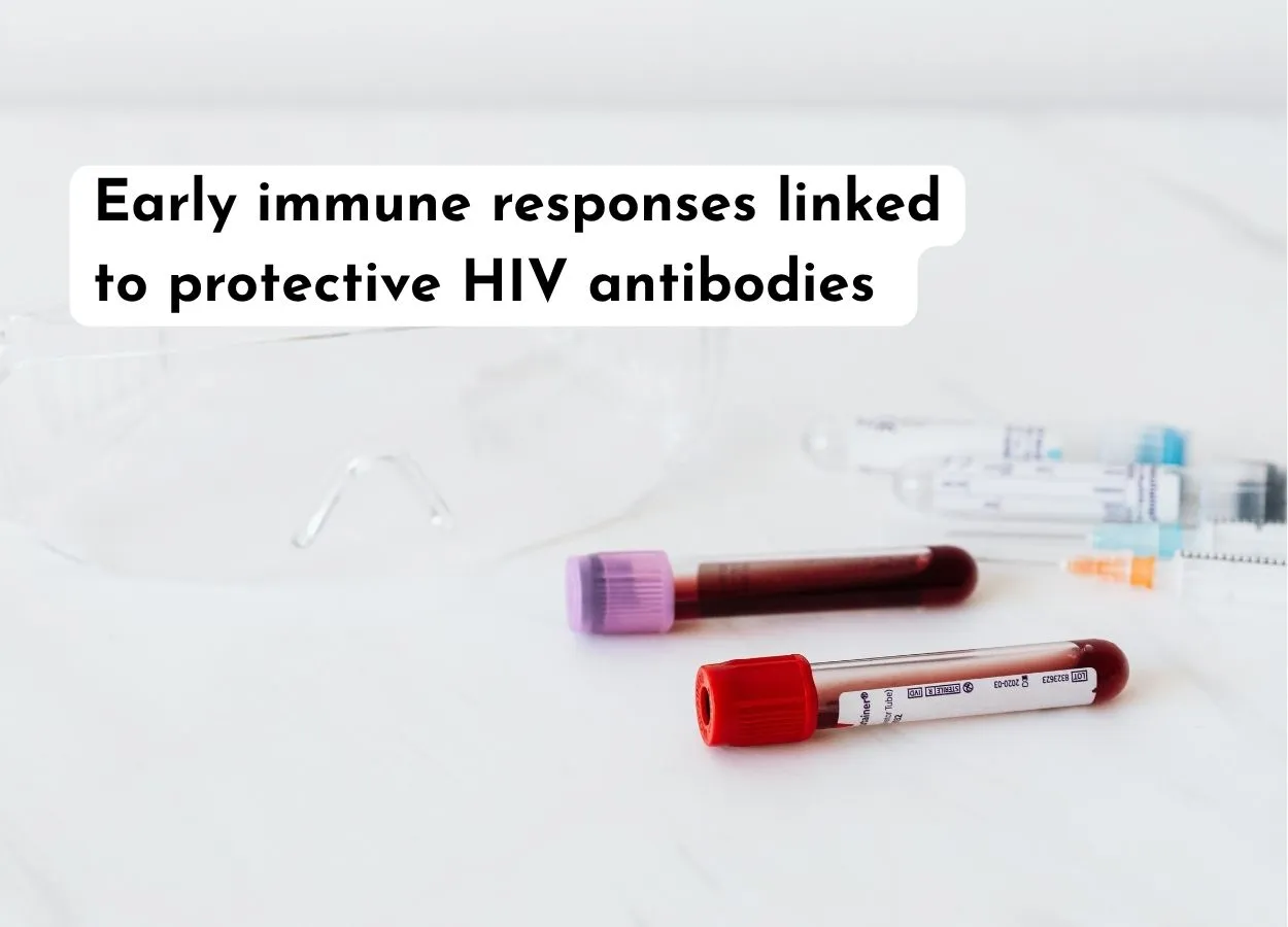 Early immune responses linked to protective HIV antibodies