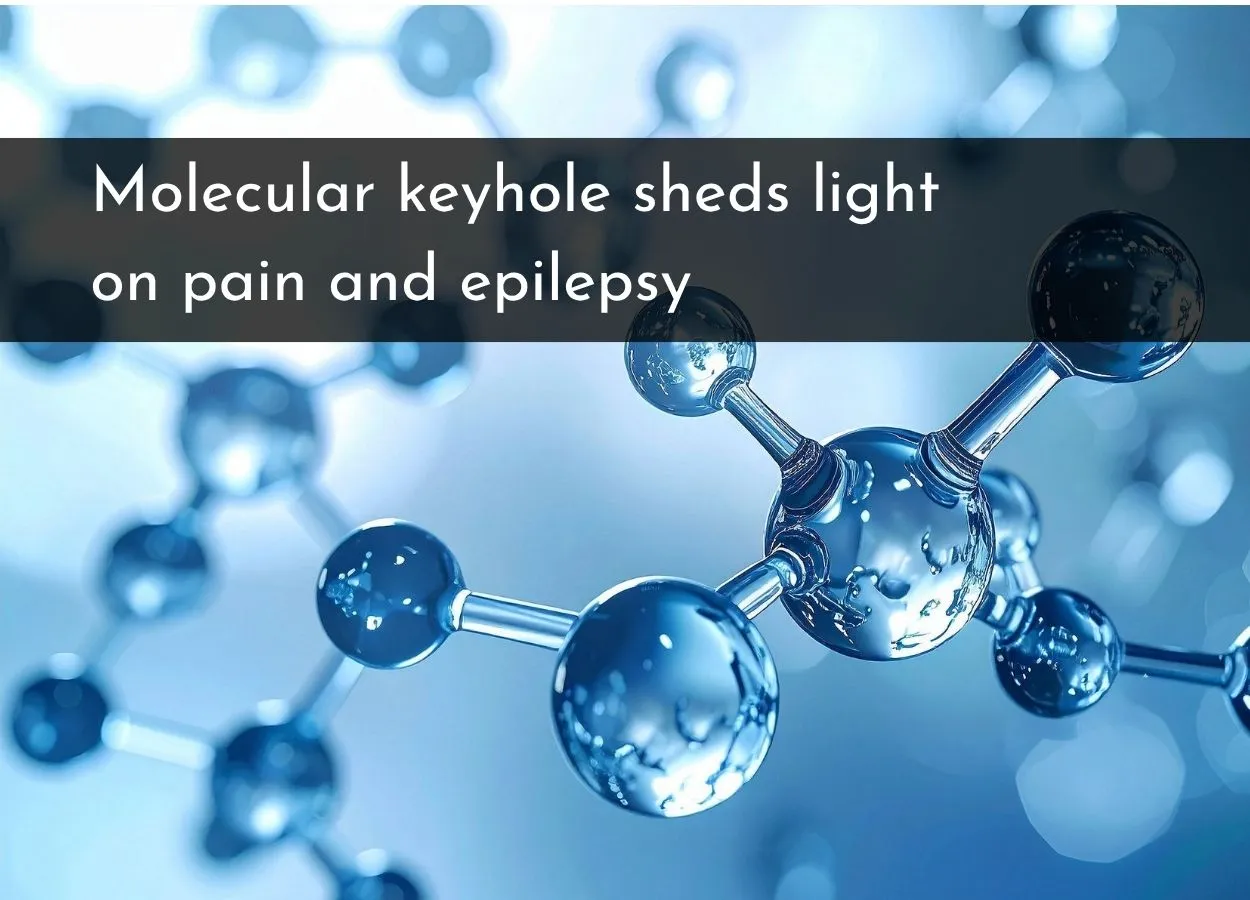 Molecular keyhole sheds light on pain and epilepsy
