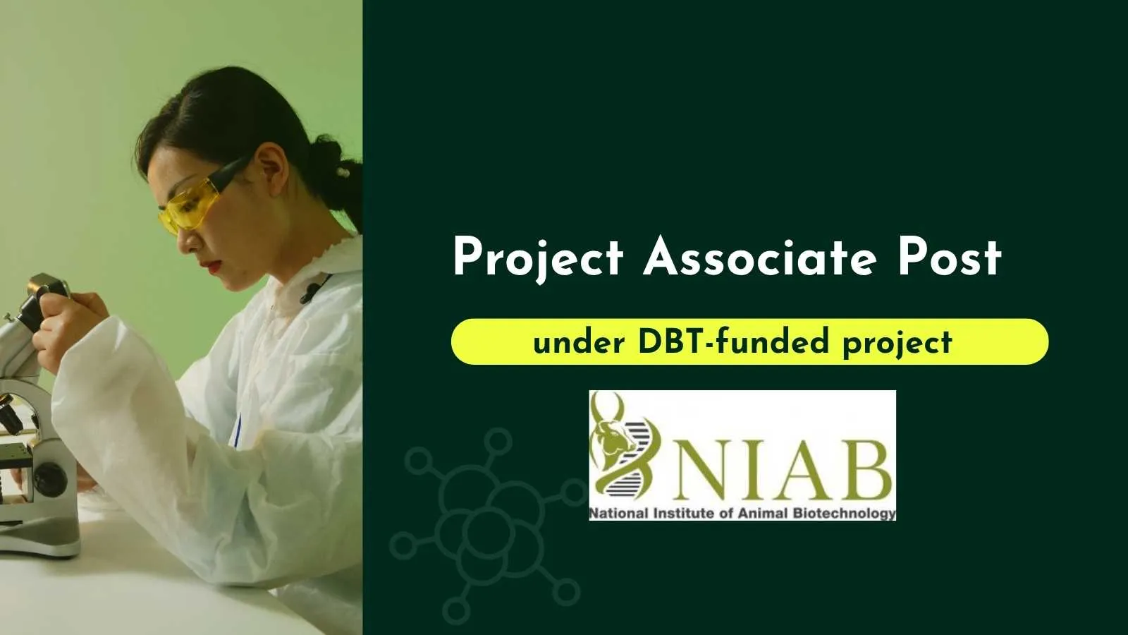 Applications are invited for Project Associate at NIAB