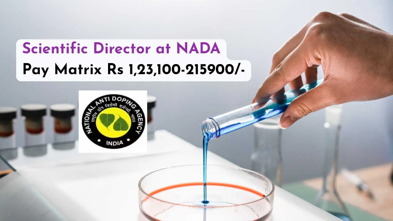 Applications are invited for Scientific Director at NADA