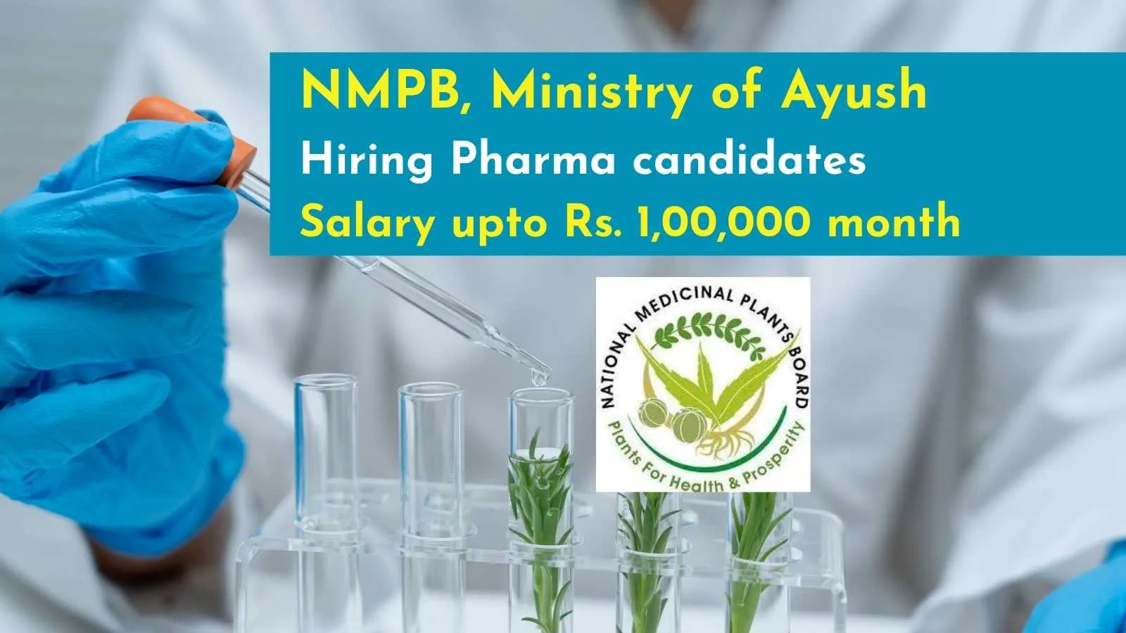 NMPB, Ministry of Ayush hiring Pharma candidates