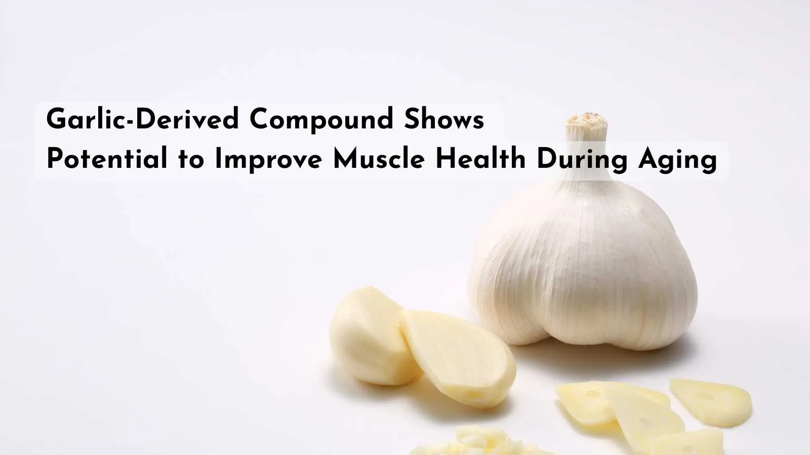 Garlic-Derived Compound Shows Potential to Improve Muscle Health During Aging