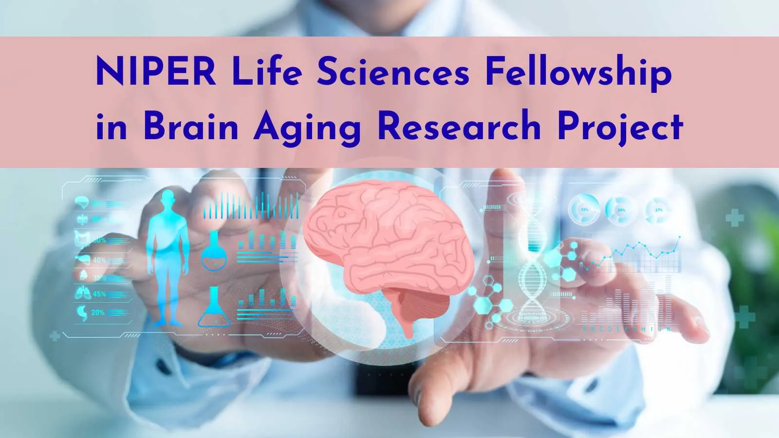 Life Sciences Fellowship in Brain Aging Research Project at NIPER