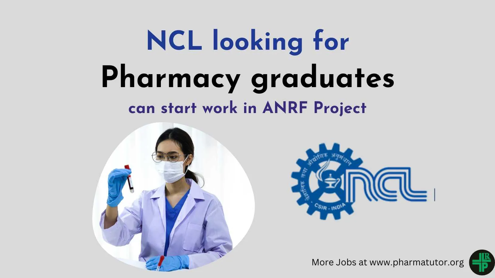 NCL Invites application from Pharmacy graduates