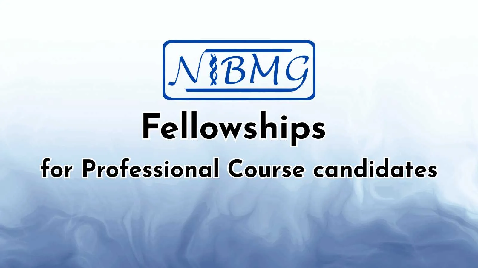 NIBMG Fellowships for Professional Course candidates