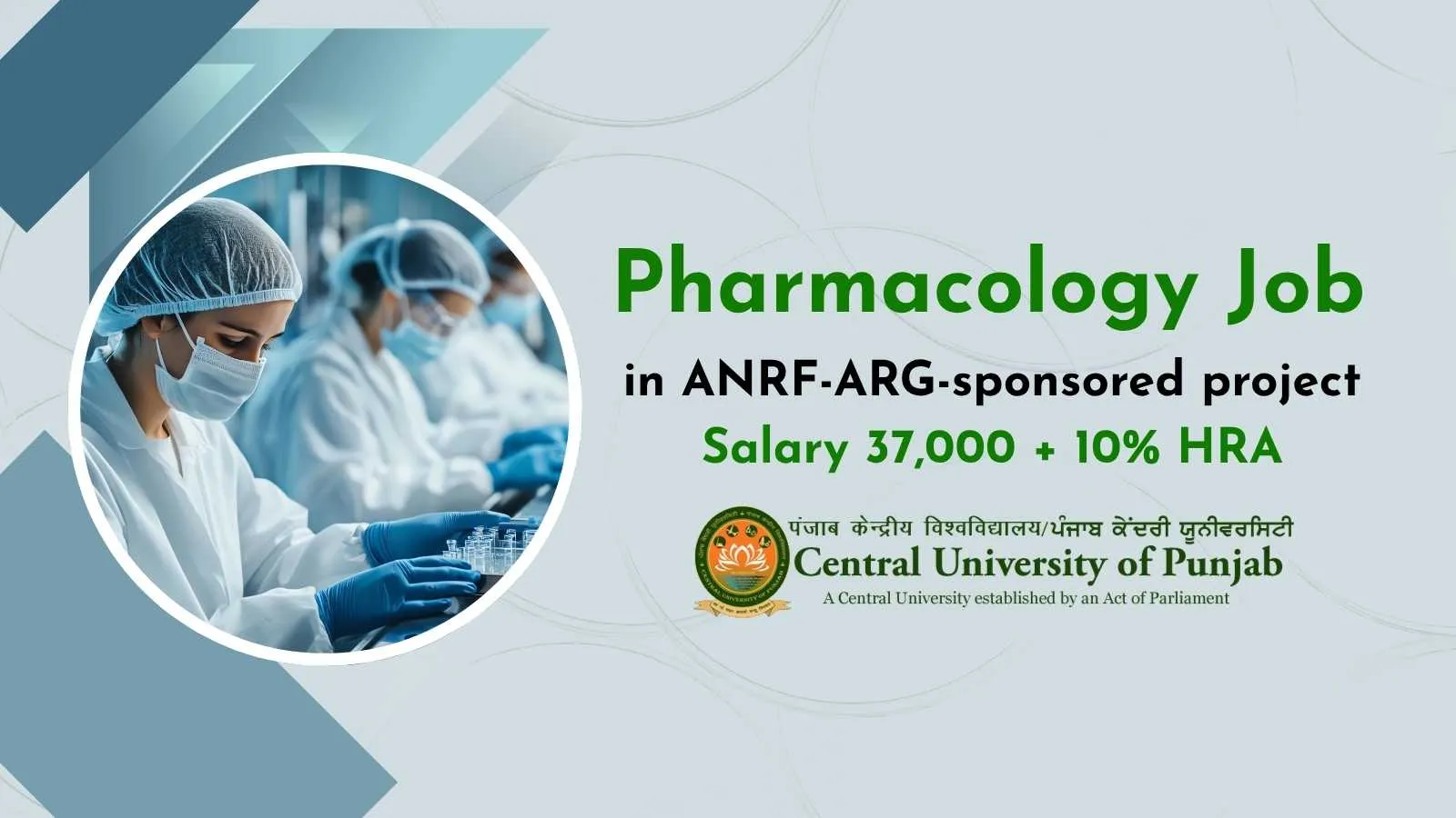 Pharmacology Job in ANRF-ARG-sponsored project at Central University of Punjab
