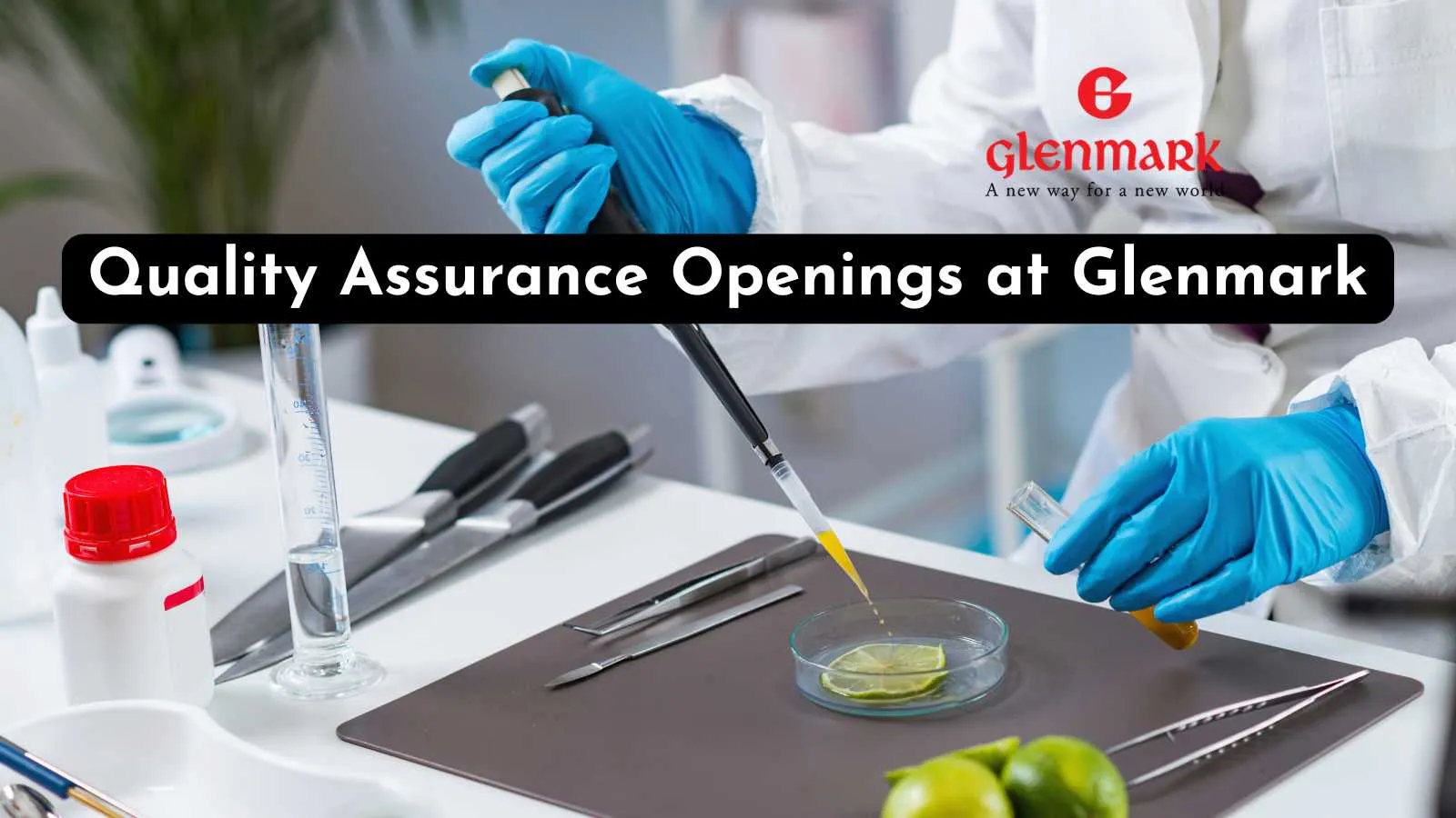 Quality Assurance Openings at Glenmark