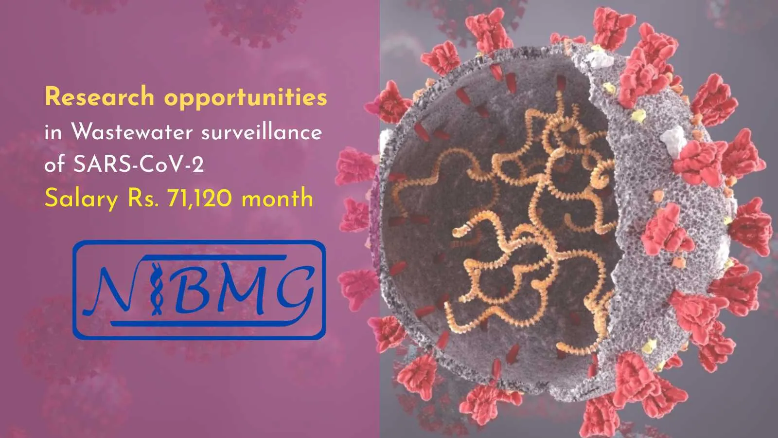 Research opportunities in Wastewater surveillance of SARS-CoV-2 at NIBMG