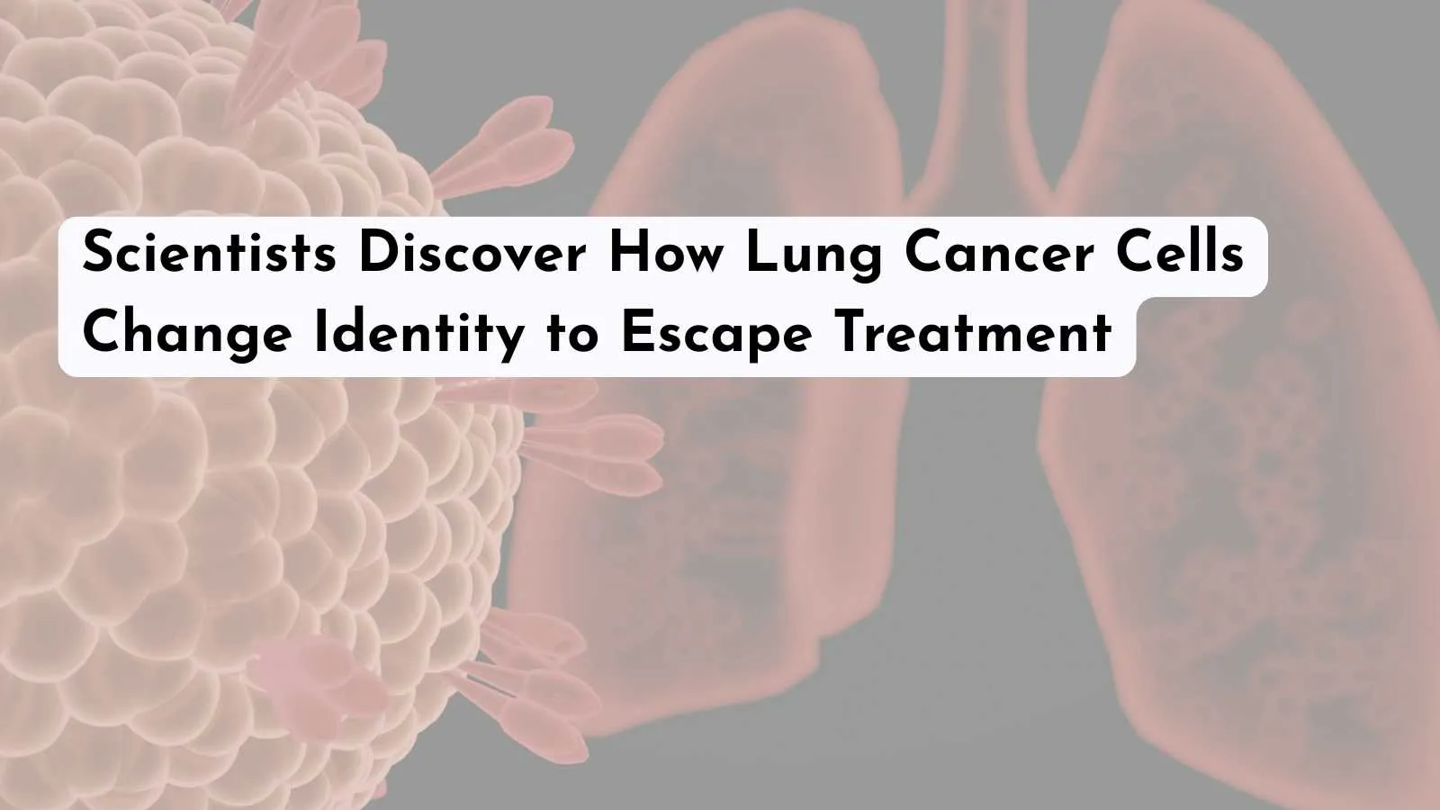 Scientists Discover How Lung Cancer Cells Change Identity to Escape Treatment